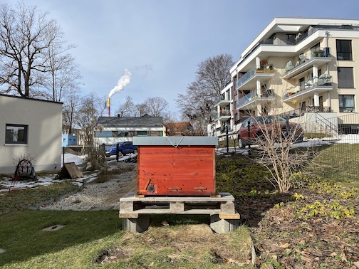 Melifera Einraumbeute im Vorgarten