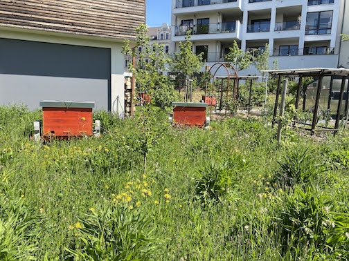 Der komplette Bienenstand im Garten