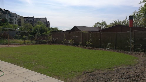 Mai 2017 - Rasen wird langsam grün