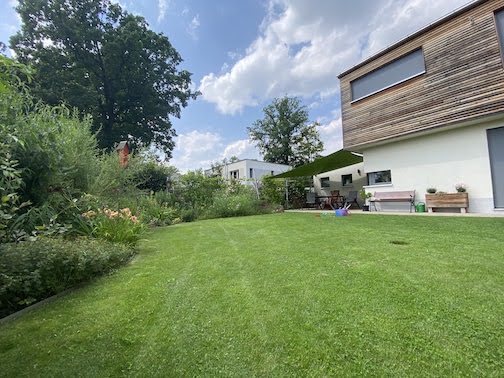 Juli 2021 - Rasenfläche und Terasse