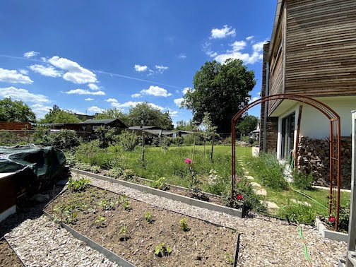 Juni 2020 - Blick durch den Garten